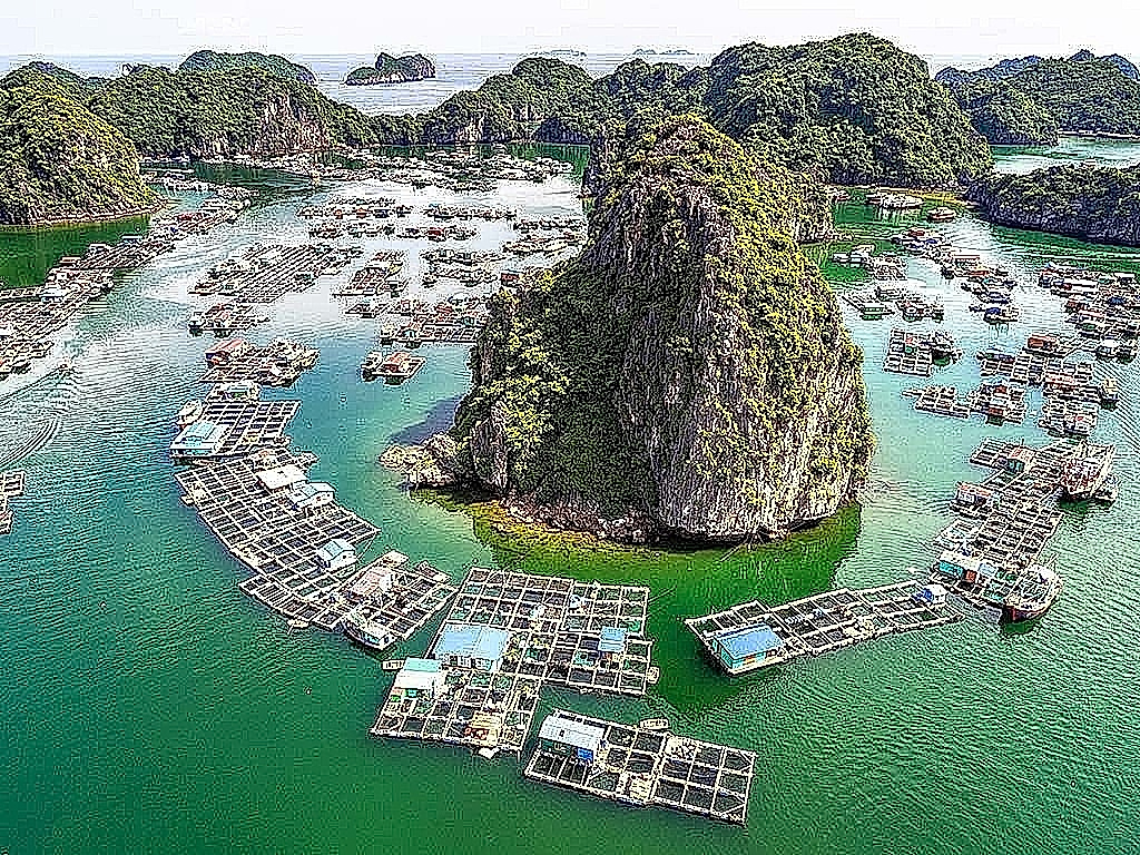 Đảo Cát Bà