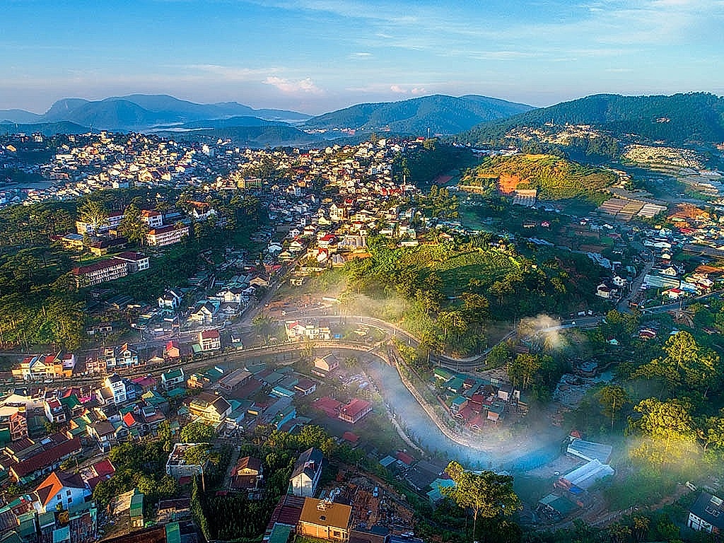 Dalat pine forests flower gardens and mist