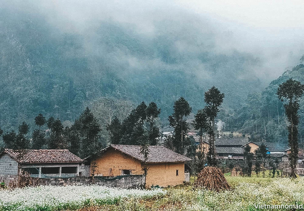 Sung La Valley Paos House Ha Giang