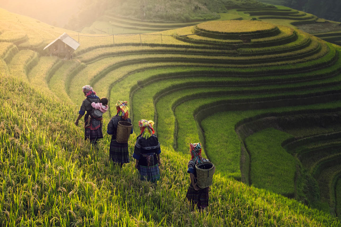 3-week Vietnam Itinerary