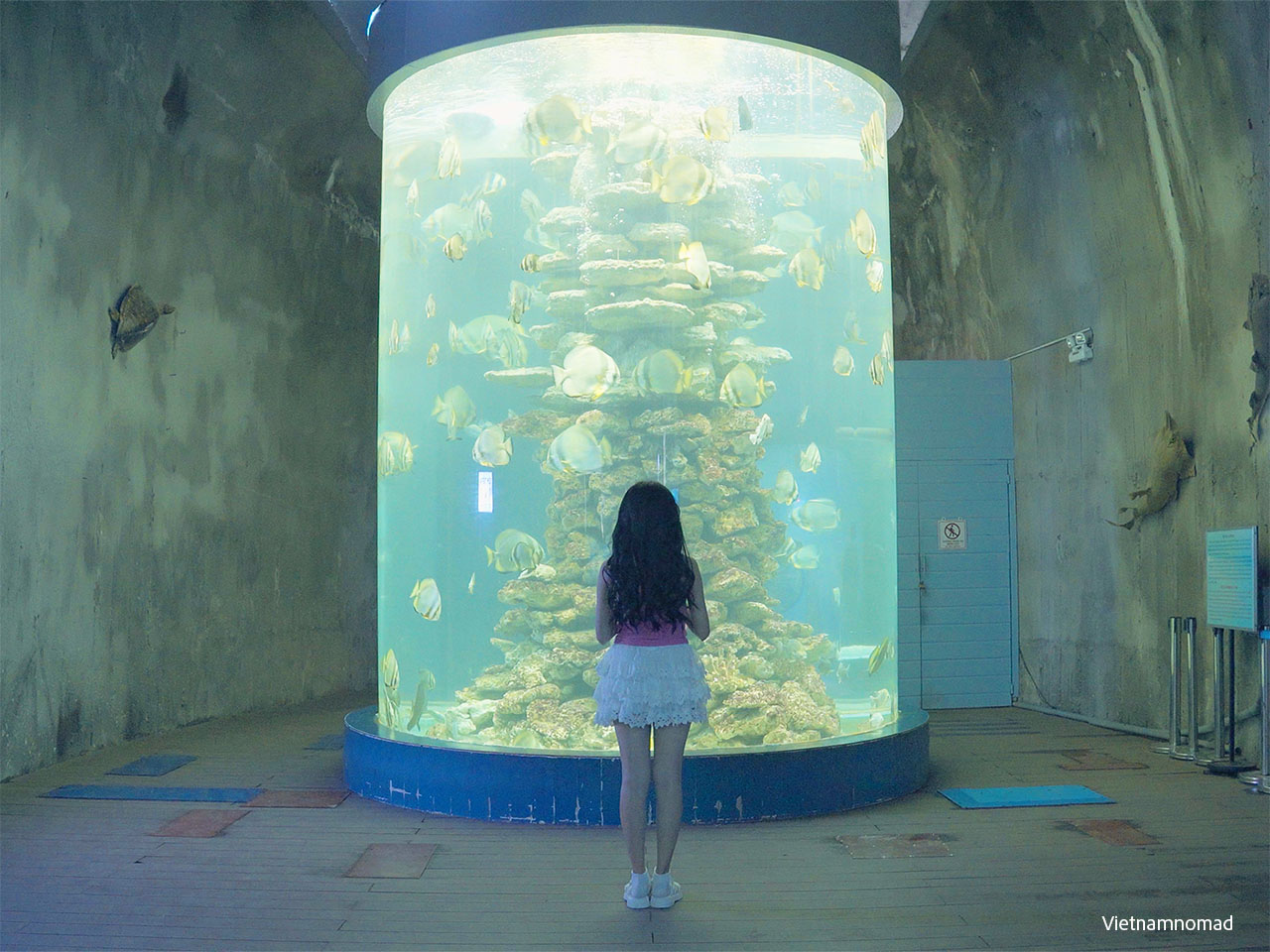 Museum of Oceanography Nha Trang