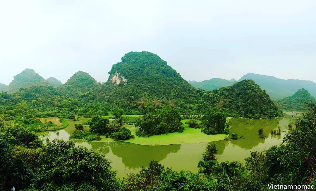 Vườn chim Thung Nham Ninh Bình