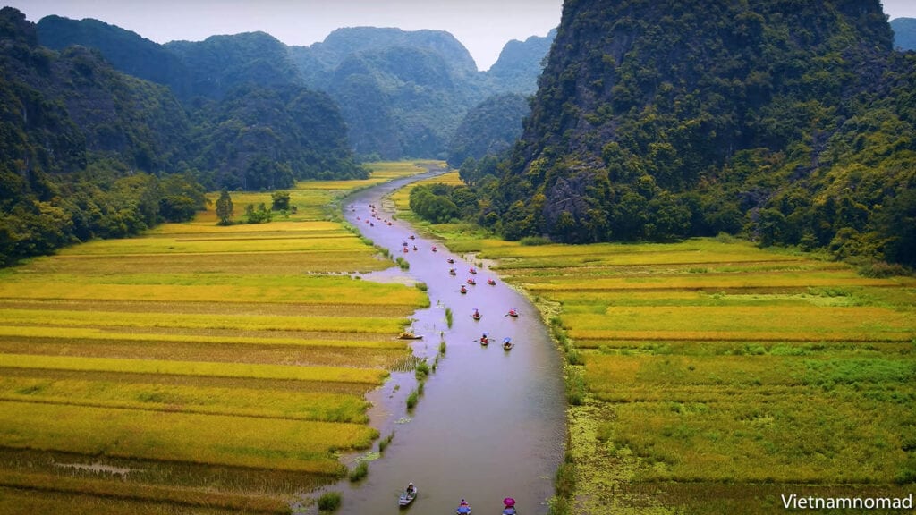 Mùa lúa chín vàng rực rỡ tại Tam Cốc Ninh Bình
