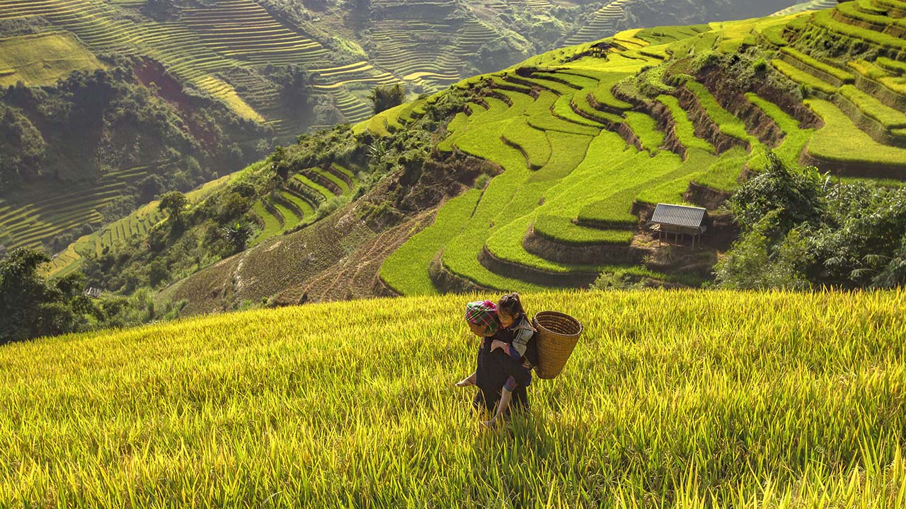 Vietnam Visa Guide