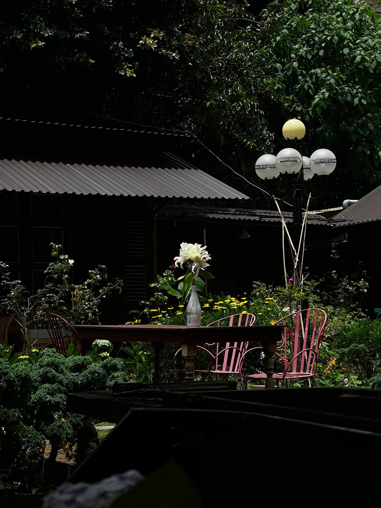 Khuôn viên nhà gỗ Casa Blanca