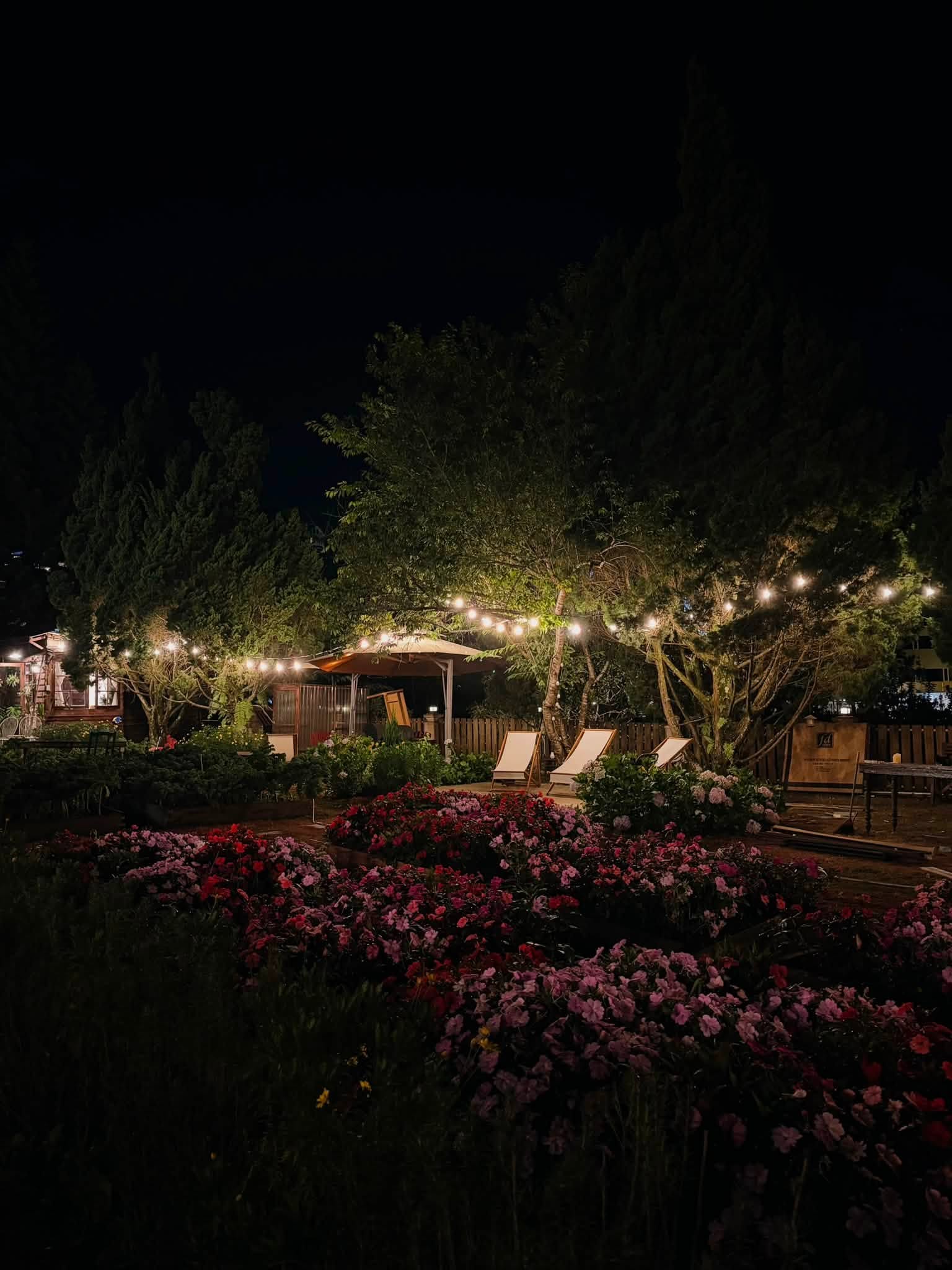Dalat Pine Hill Homestay